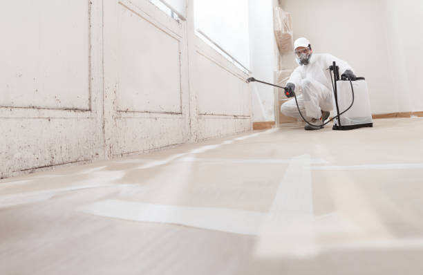 Trusted Mold Testing service in Grant, MI - WQB Mold Removal