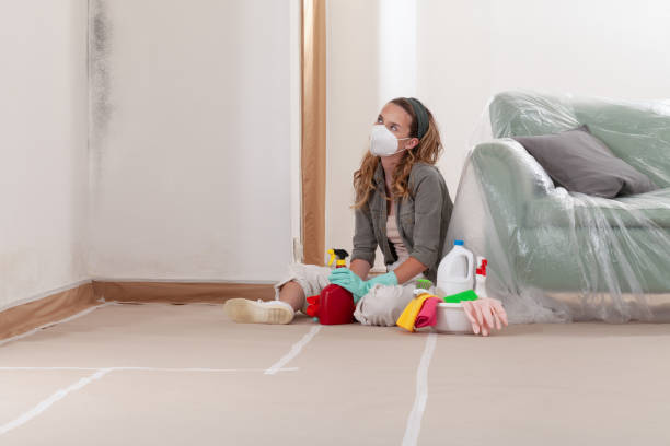Reliable Mold Testing contractor in Grant, MI by WQB Mold Removal